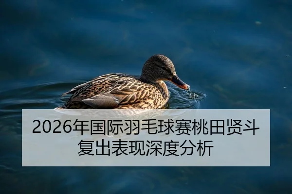 2026年国际羽毛球赛桃田贤斗复出表现深度分析