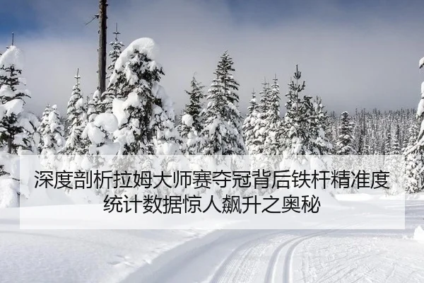 shen-du-pou-xi-la-mu-da-shi-sai-duo-guan-bei-hou-tie-gan-jing-zhun-du-tong-ji-shu-ju-jing-ren-biao-sheng-zhi-ao-mi-3-328.jpg